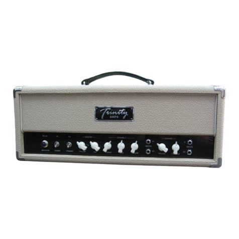Trinity Amps TC15 Builder's guide