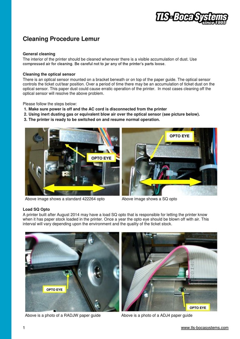 TLS-BocaSystems Lemur Manual