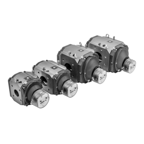 Elster Instromet RABO G65 User manual