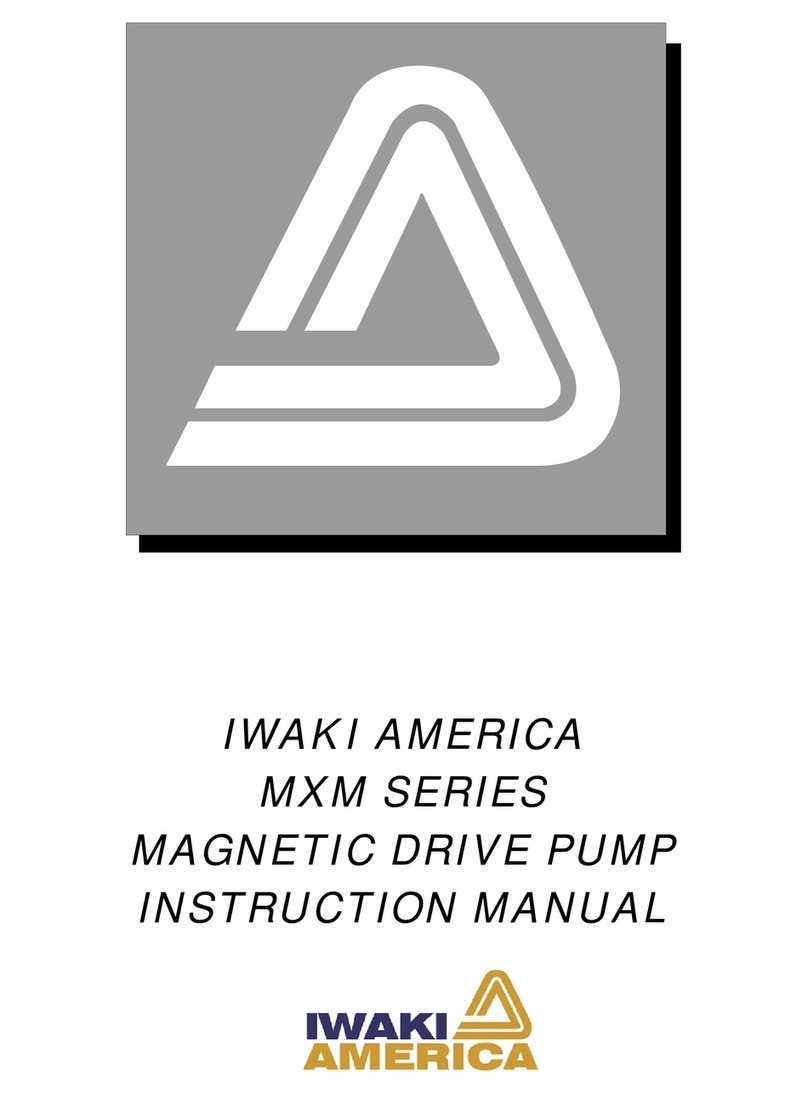 IWAKI AMERICA MXM Series instruction manual