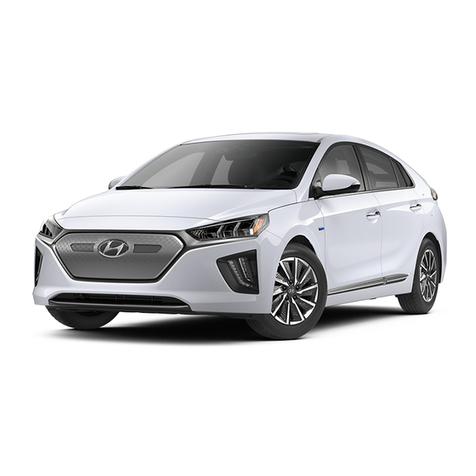 Hyundai Ioniq EV 2020 owner's manual