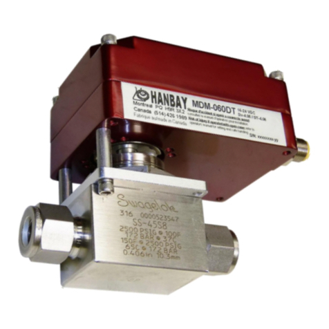 Hanbay MD DT-10.31 Series user manual