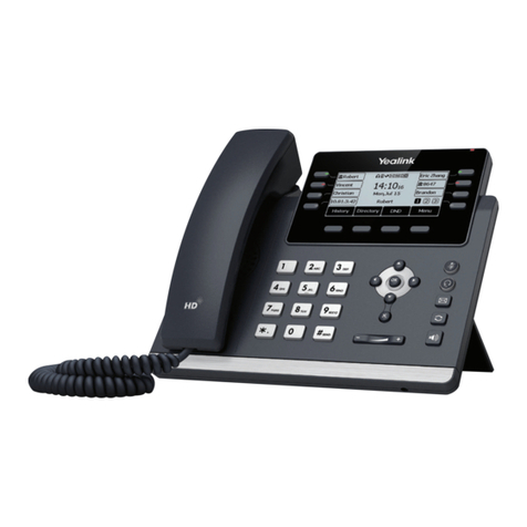 CALLSWITCH SIP-T41P User manual
