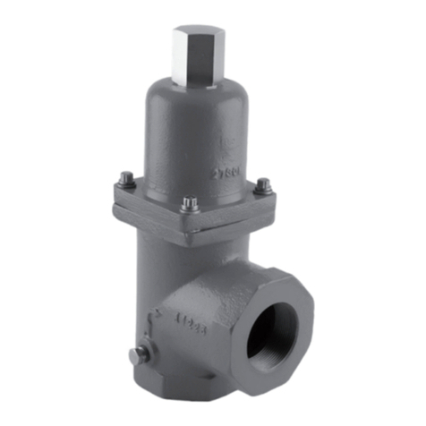 Emerson Fisher N100 Series User manual