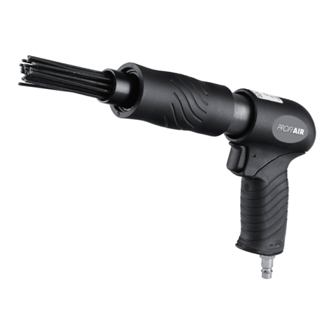 AHS ProfiAir DNE 1 manual