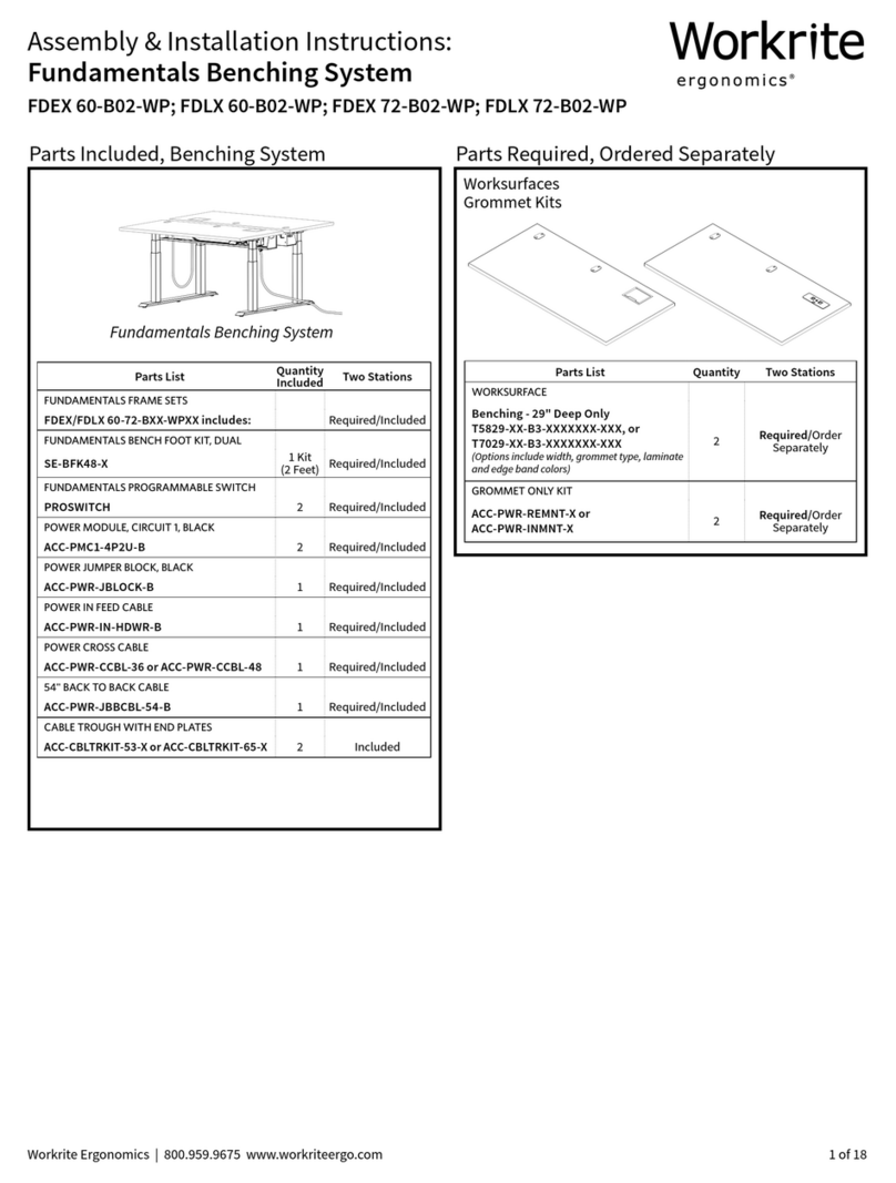 Workrite Ergonomics FDEX 60-B02-WP Programming manual