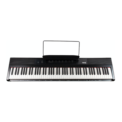 RockJam RJ88DP user guide