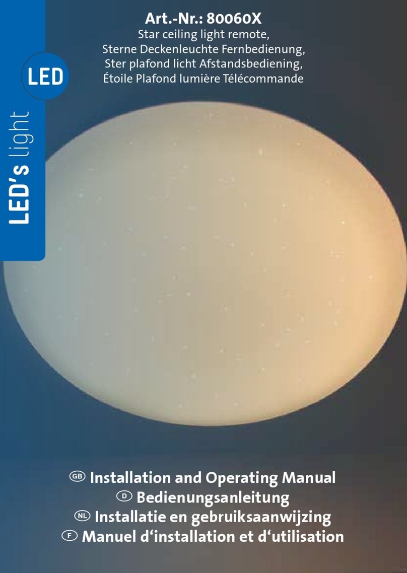 LED's light 80060X User manual