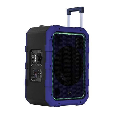 Gemini MPA-2400 User manual