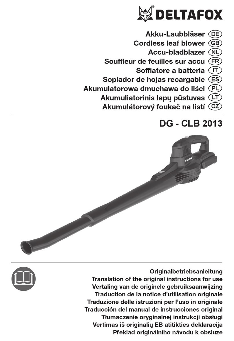 Deltafox DG - CLB 2013 Service manual