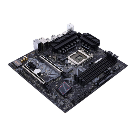 Colorful BATTLE-AX Z490M-PLUS V20 manual