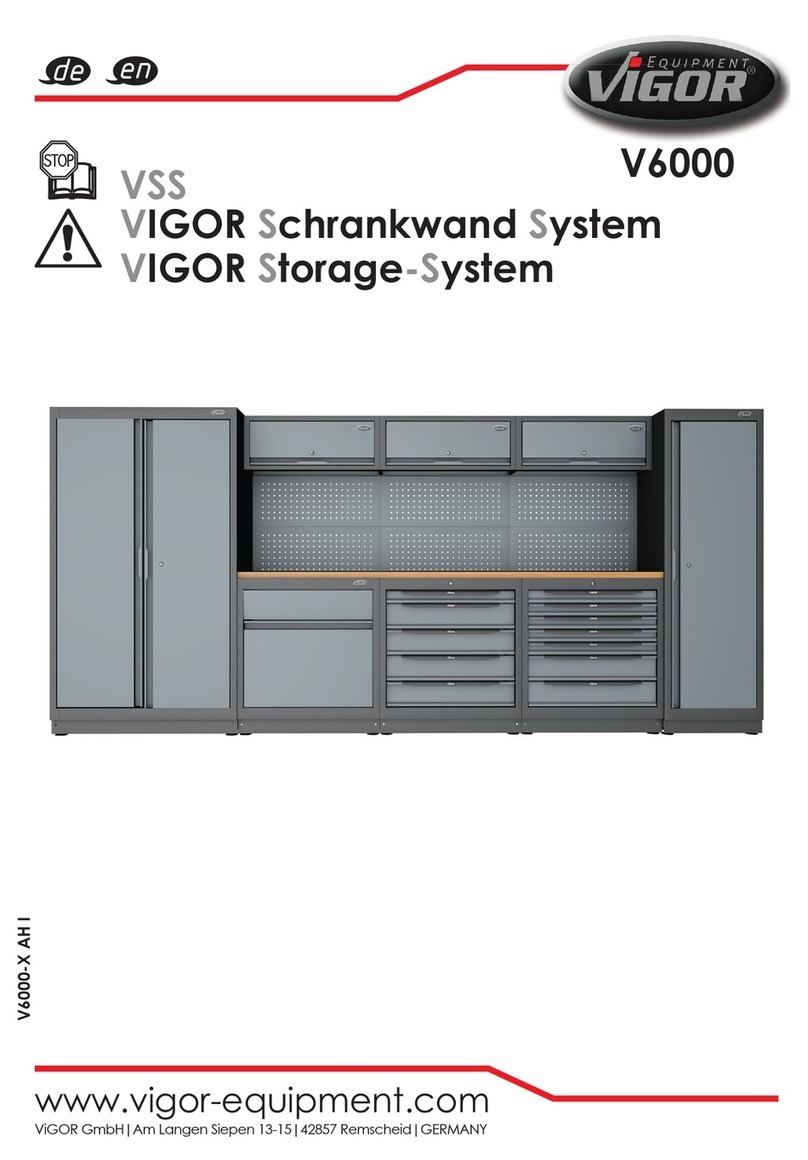 Vigor VSS V6000 manual