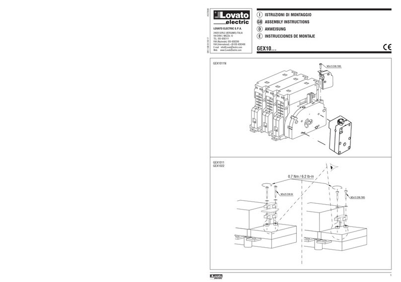 LOVATO ELECTRIC GEX10 Series User manual LOVATO ELECTRIC GEX10 Series User manual