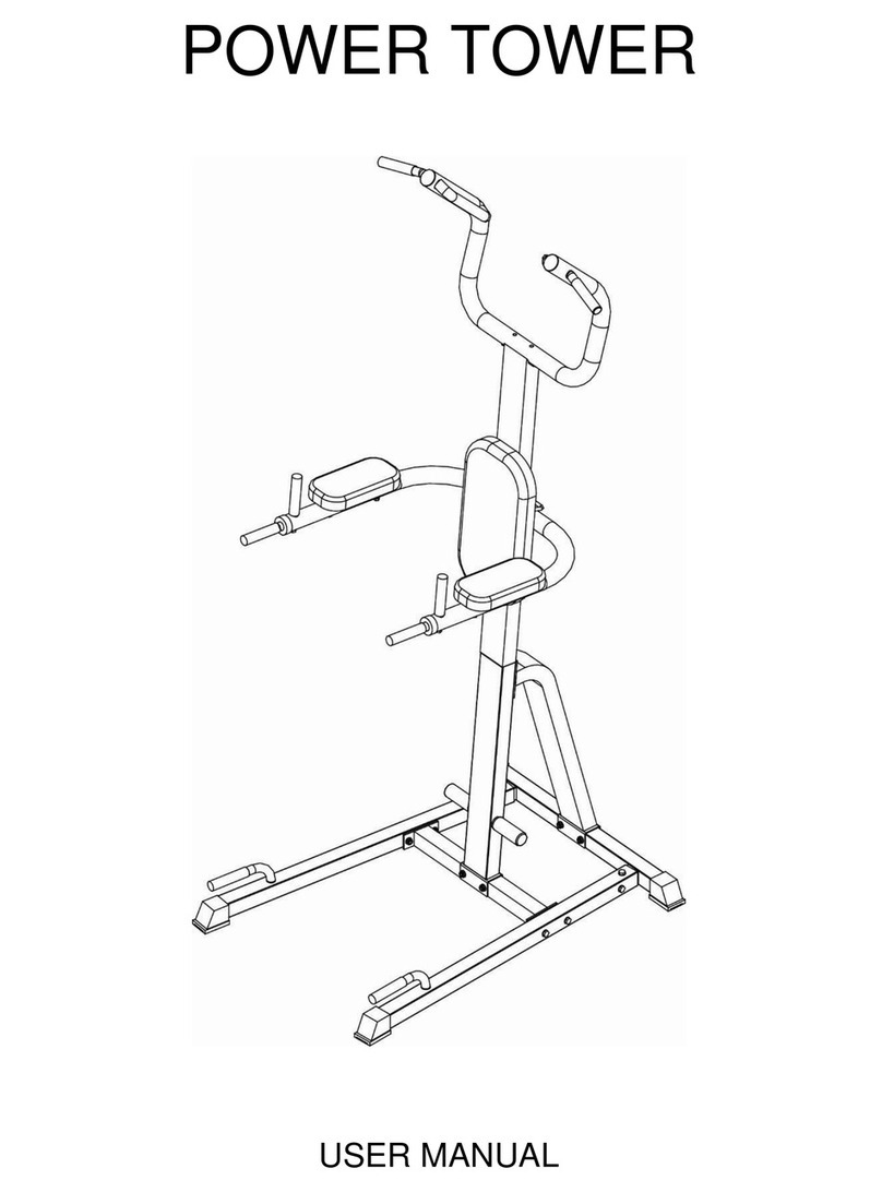 Flex Fitness Power Tower user manual