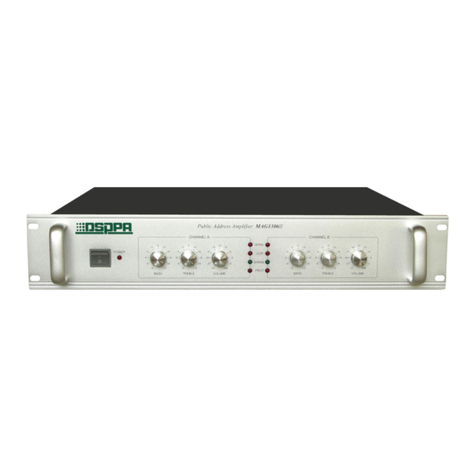 DSPPA MAG1306II User manual