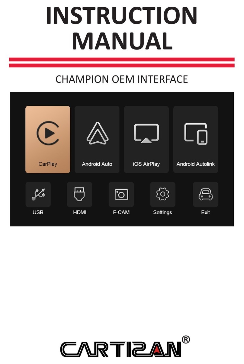 Cartizan CHAMPION instruction manual