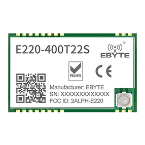 Ebyte E220-400T22S User manual