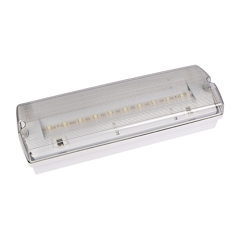 Intelight ORION LED 100 Installation and maintenance instructions