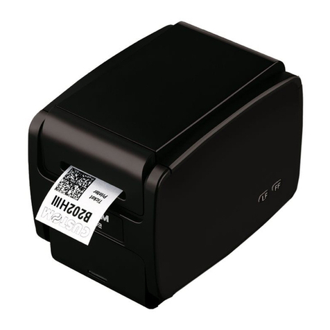 Custom Audio Electronics B202HIII Supplement