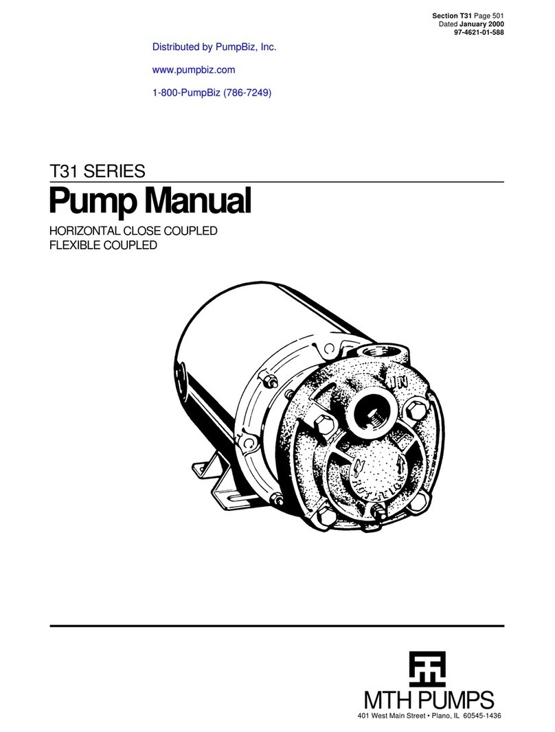 MTH PUMPS T31 Series User manual