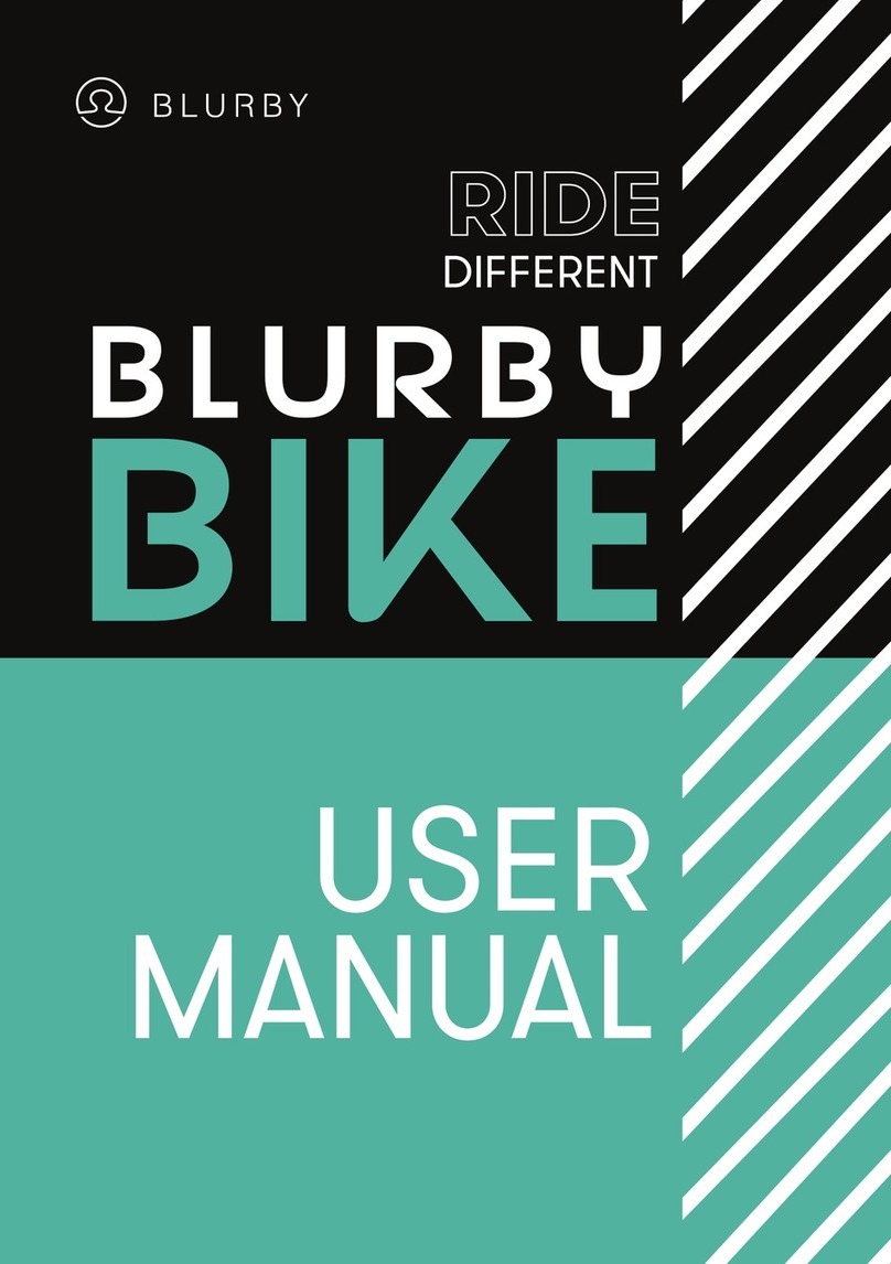 BLURBY RIDE DIFFERENT user manual