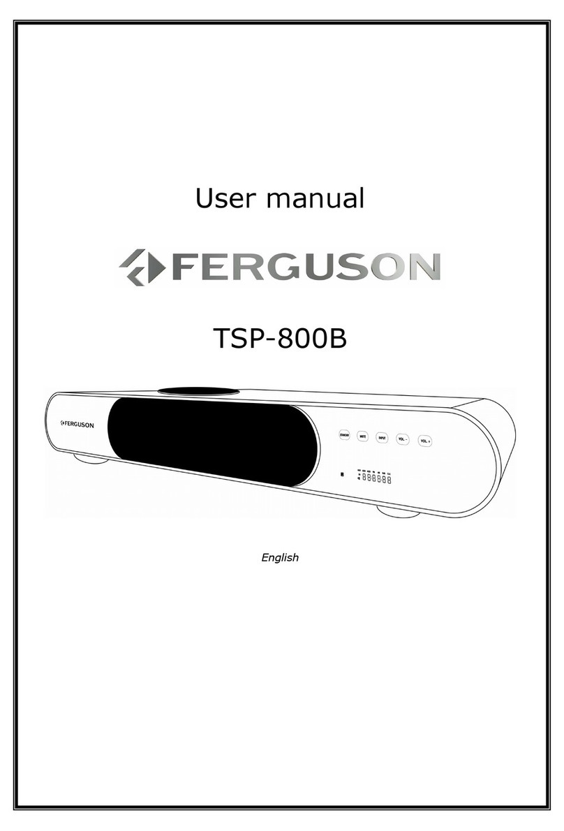 Ferguson TSP-800B user manual