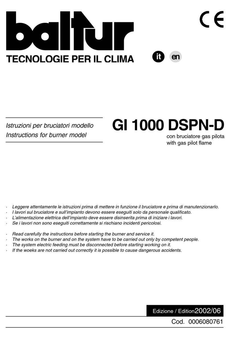 baltur GI 1000 DSPN-D User manual