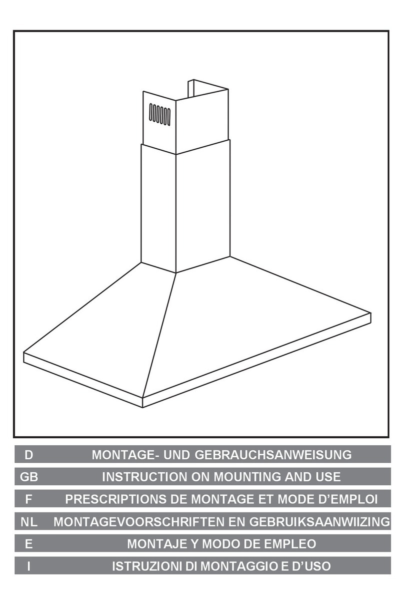 AIRFORCE F0-DIAMINTE-SL Instruction on mounting and use