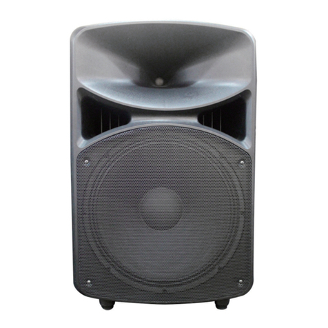 LOTRONIC BST P12DSP instruction manual