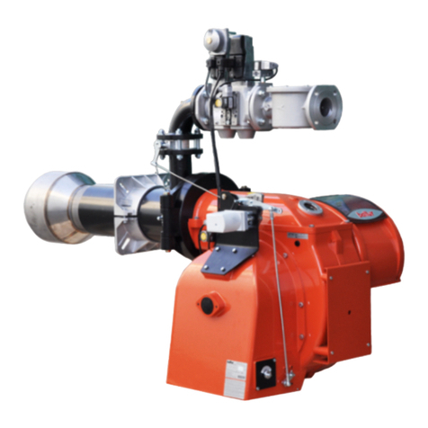 baltur BGN 250 P User manual