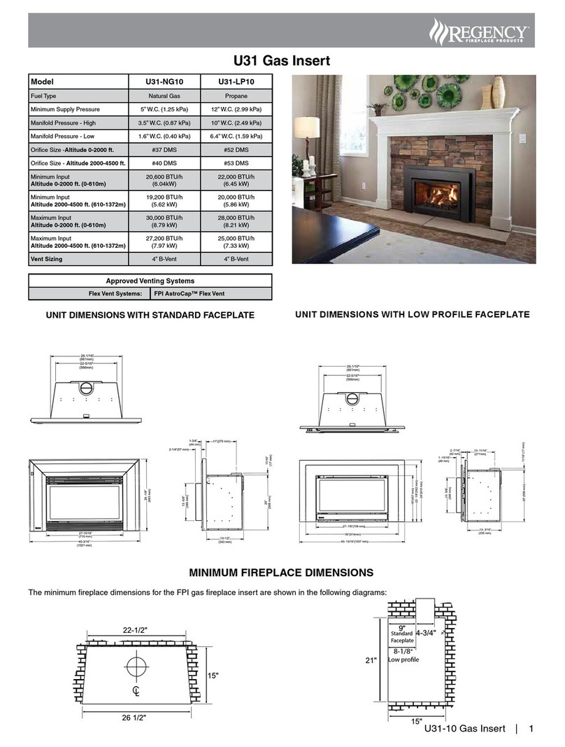 Regency Fireplace Products Energy U31-NG10 User manual