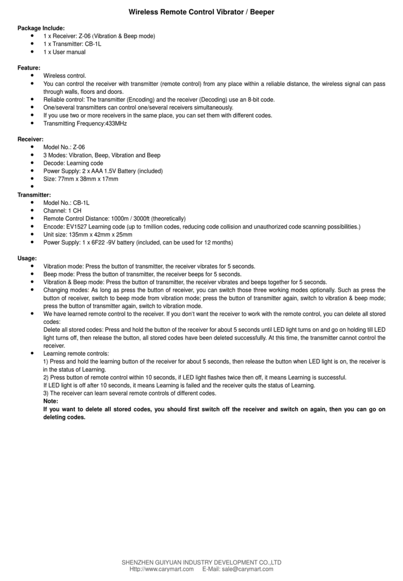 Flying Industry Development Z-06 User manual
