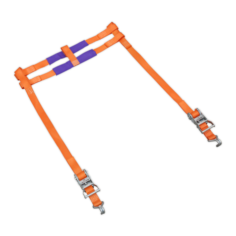 Sealey TDMCRW User manual