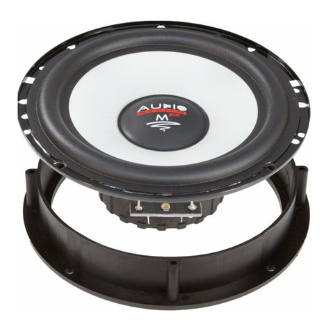 Audiosystem EVO 2 M100 user manual
