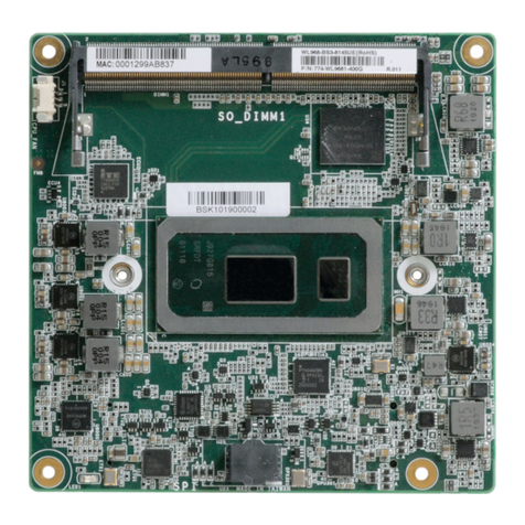 DFI WL968 User manual