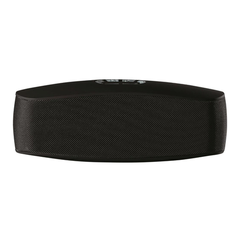 Daewoo Fabric Speaker user manual