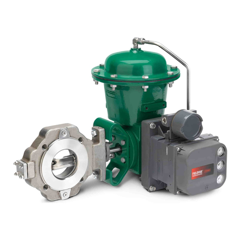 Fisher-Rosemount Design CV500 instruction manual