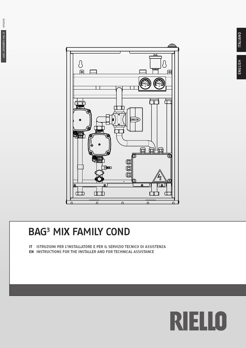 Riello BAG3 MIX BASIC Instructions for the Installer and for Technical Assistance