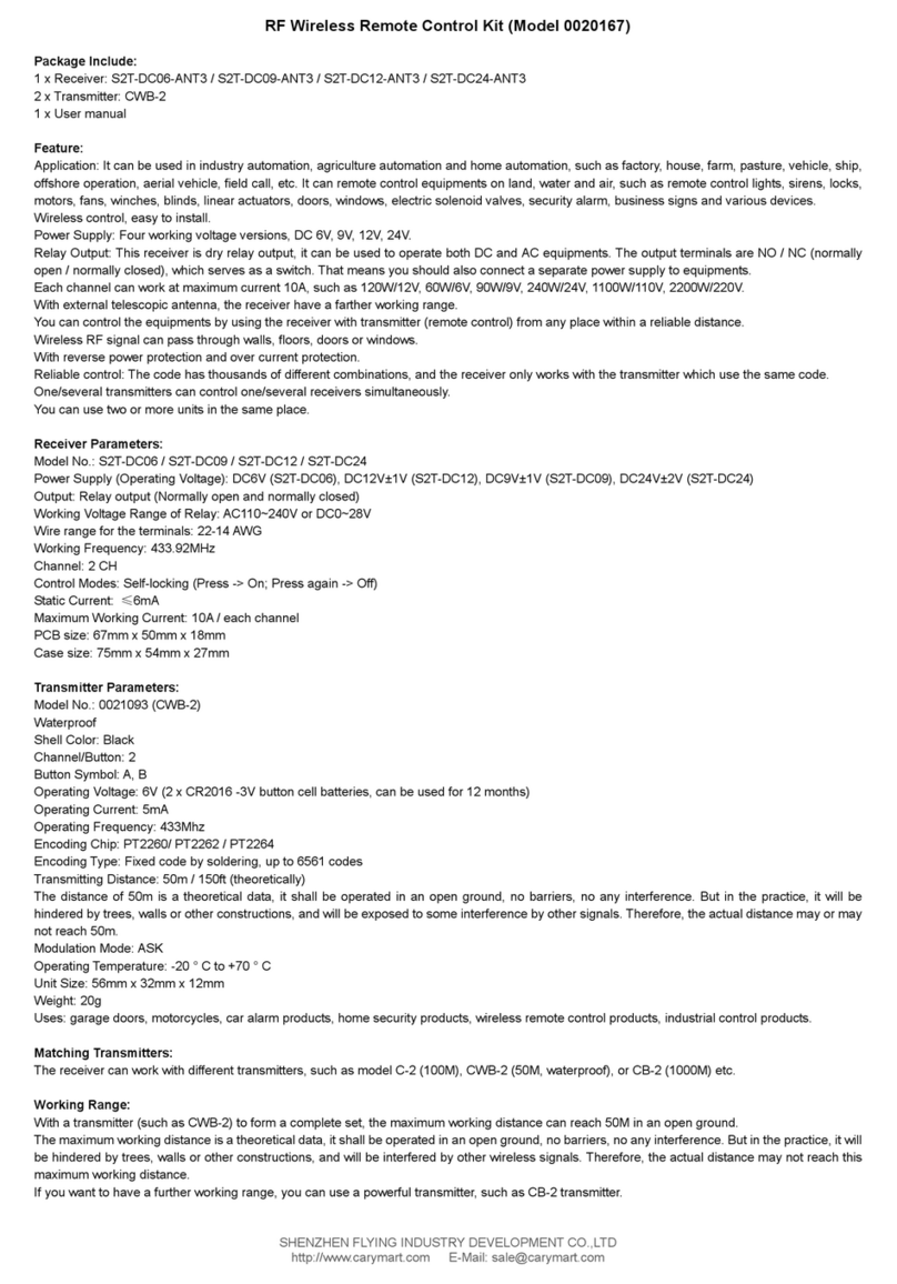 Flying Industry Development 0020167 User manual