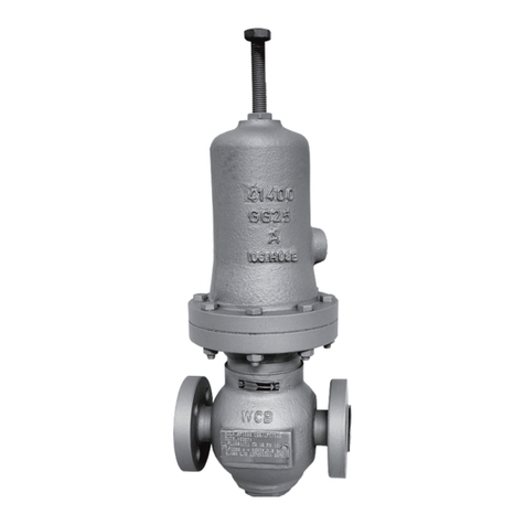 GE Masoneilan 173 Series User manual