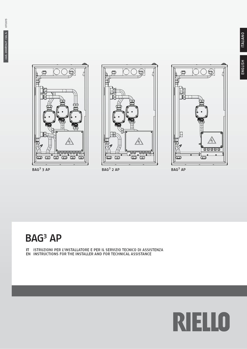 Riello BAG3 AP Instructions for the Installer and for Technical Assistance