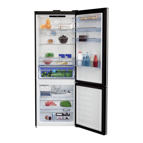 Beko RCNE560E60ZGWHN User manual