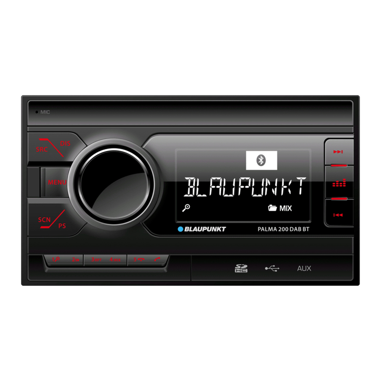 Blaupunkt 200 Series User manual
