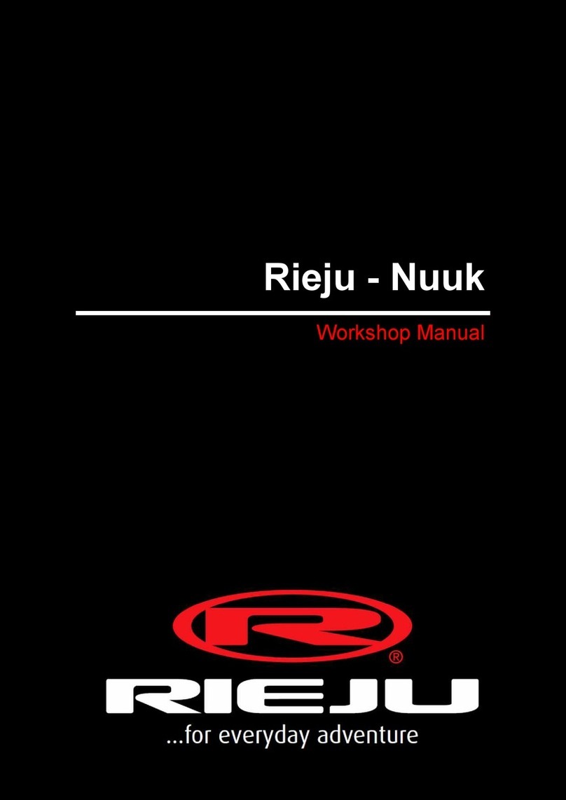 RIEJU Nuuk Workshop manual