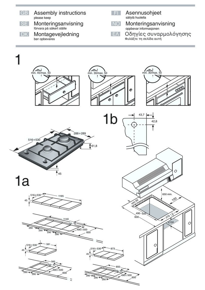 Real Fyre G-31 Assembly instructions