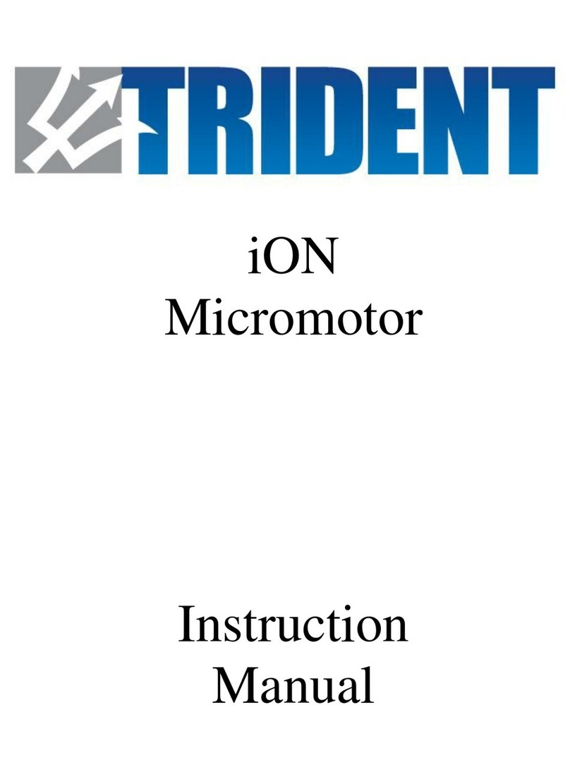 Trident iON instruction manual