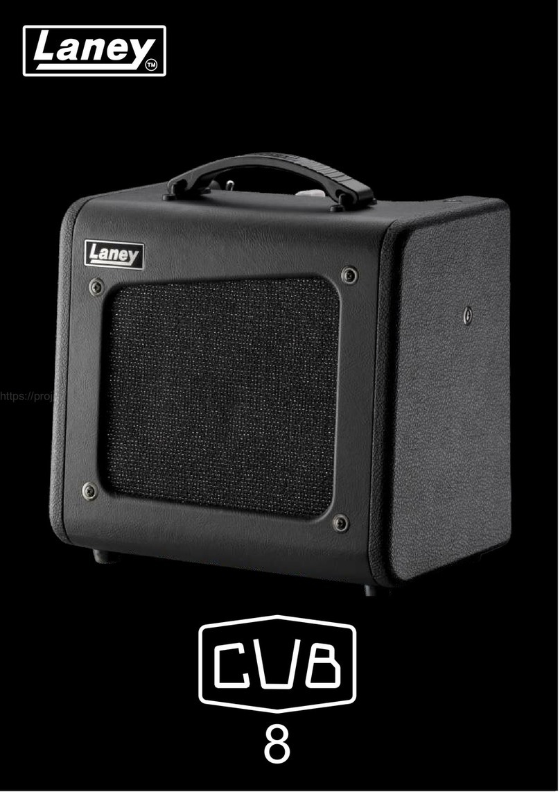 Laney CUB8 User manual