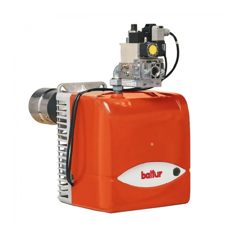 baltur BTG 12 Instruction manual for installation, use and maintenance