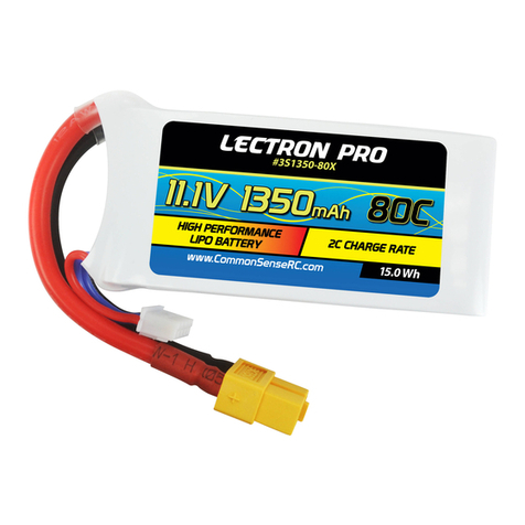 Common Sense RC Lectron Pro instructions