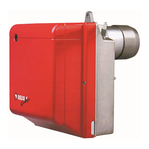 Riello RG2D Installation, use and maintenance instructions